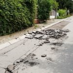 Kovanlučka posle kiše